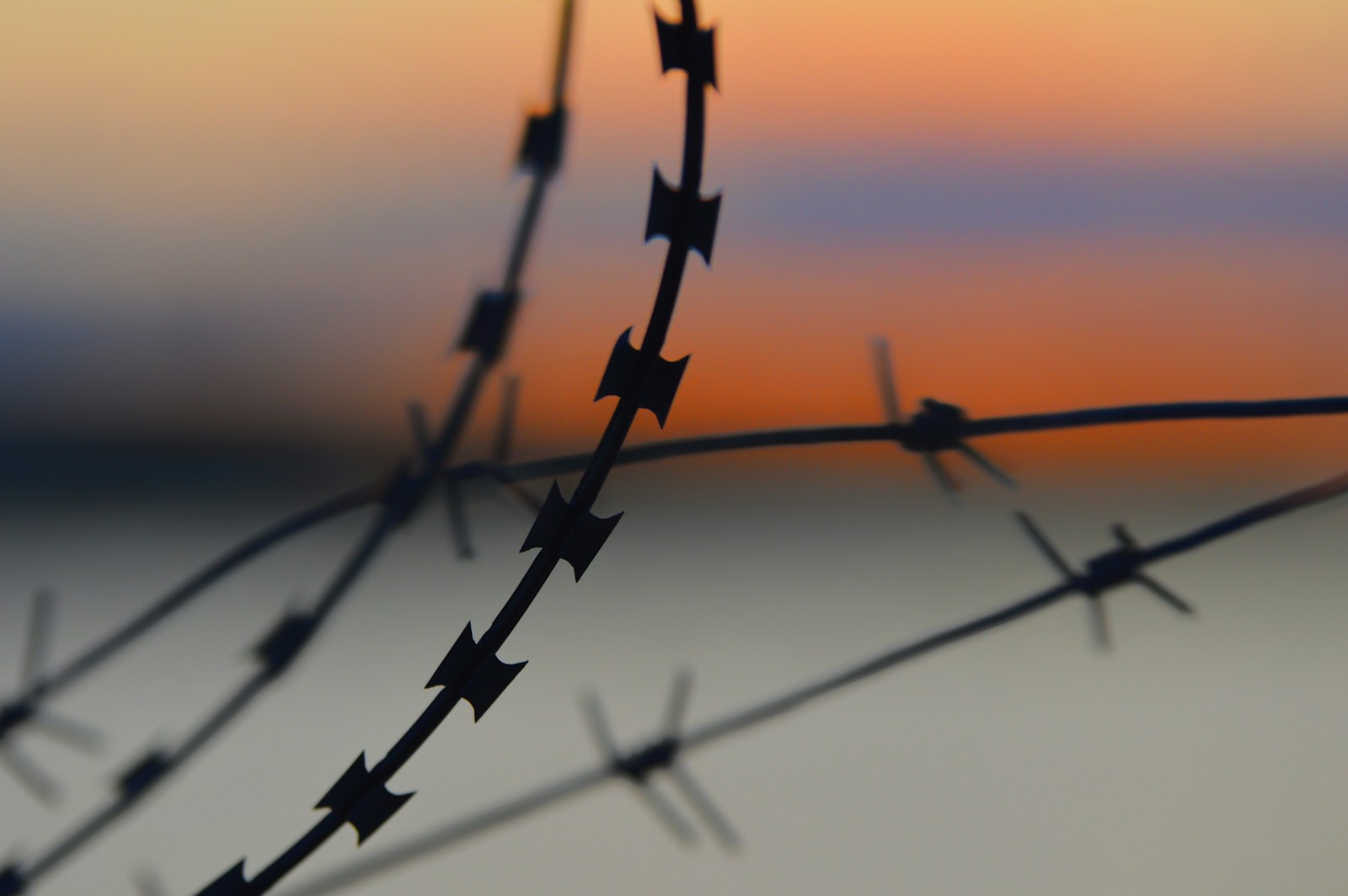 silhouette of barbwire during sunset
